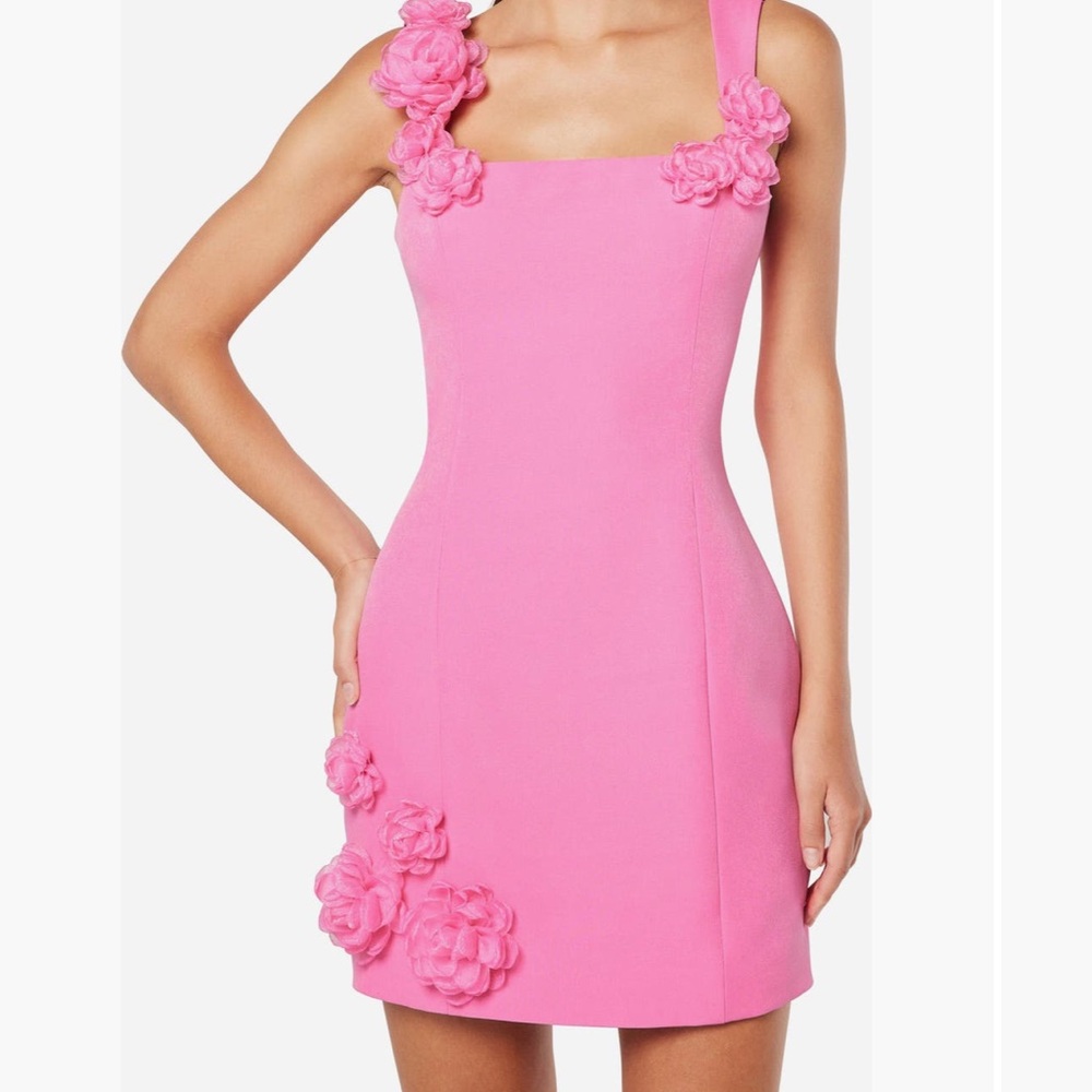 Elliatt Elegant Pink Floral Dress Size XL